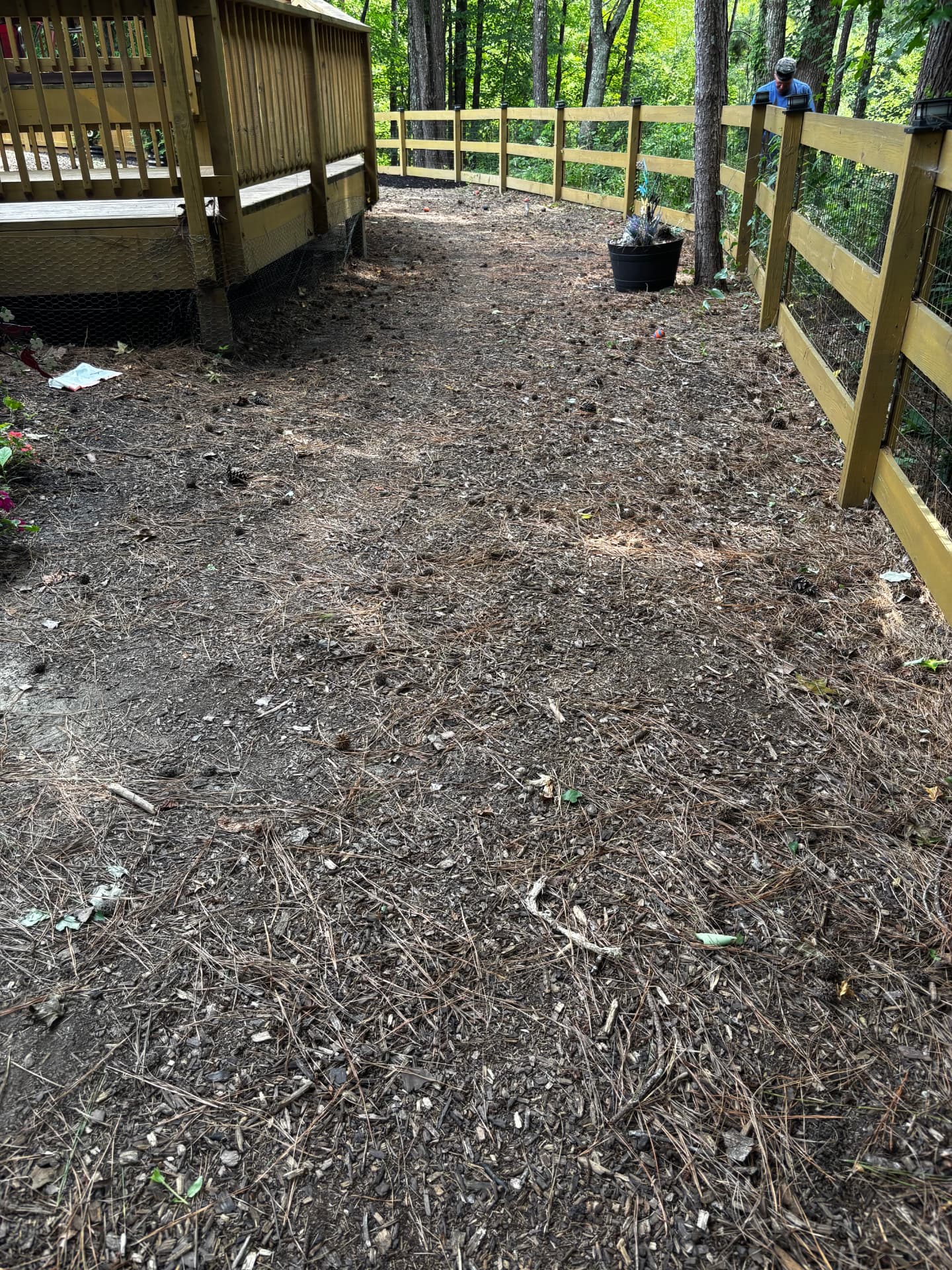 Cleared side yard prepared for mulch installation