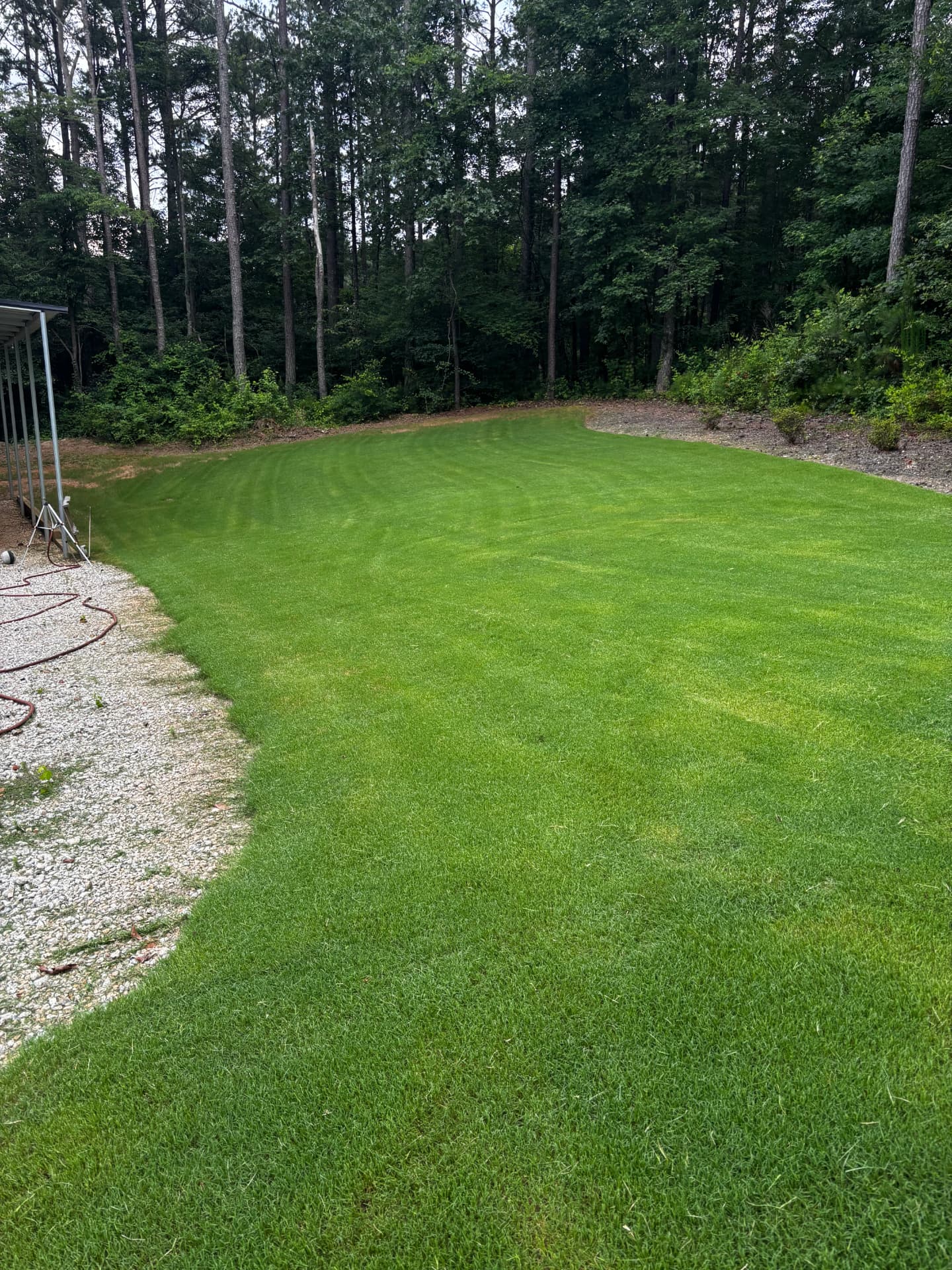 Freshly striped lawn maintained by Thomas Lawn & Landscaping in Georgia