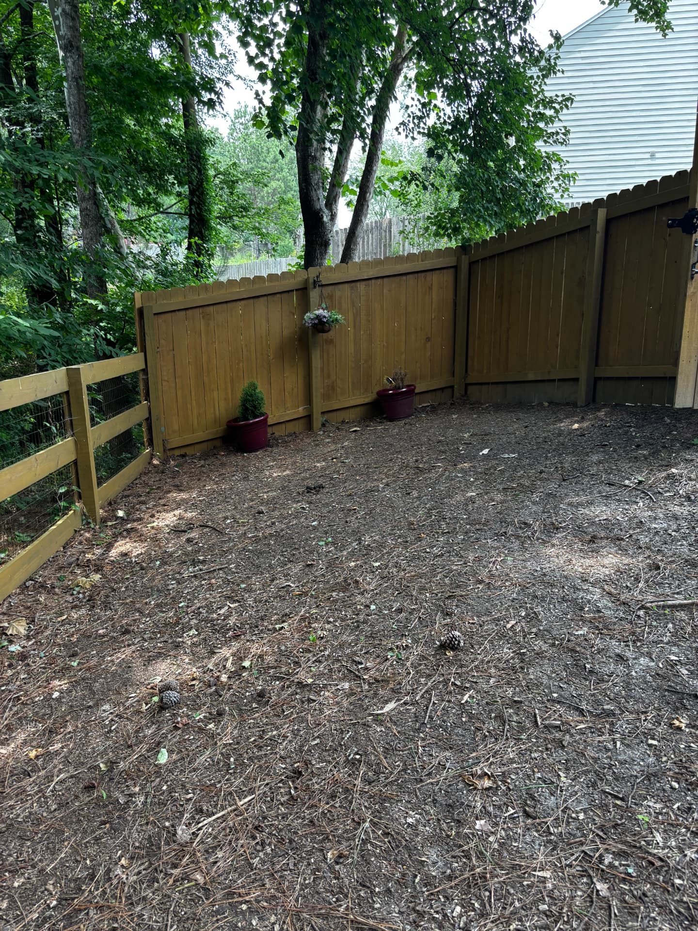 Bare shaded backyard before landscaping work