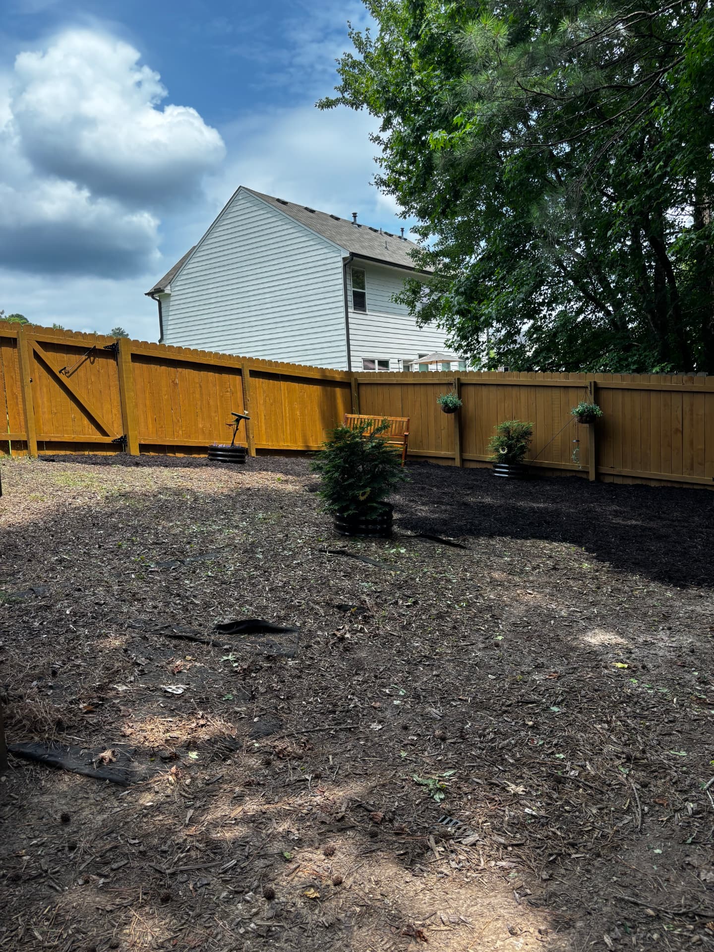 Backyard partway through a mulch and planting install